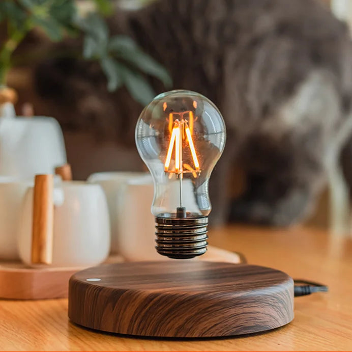 Lampada a levitazione magnetica™️ 