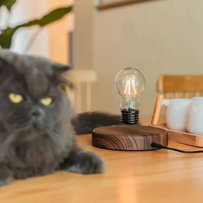Lampada a levitazione magnetica™️ 
