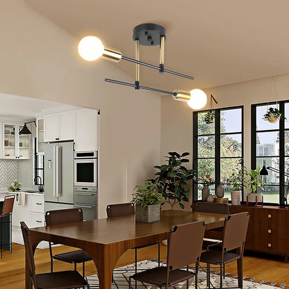 High-end Ceiling Chandelier LED Lights™️
